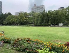 【Day2】蓝海创始人与王石同行，探访日本百年企业营商之道—前日本首相福田康夫&艺术家名和晃平！