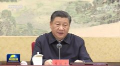 保护知识产权就是保护创新，习近平提出六方面要求！